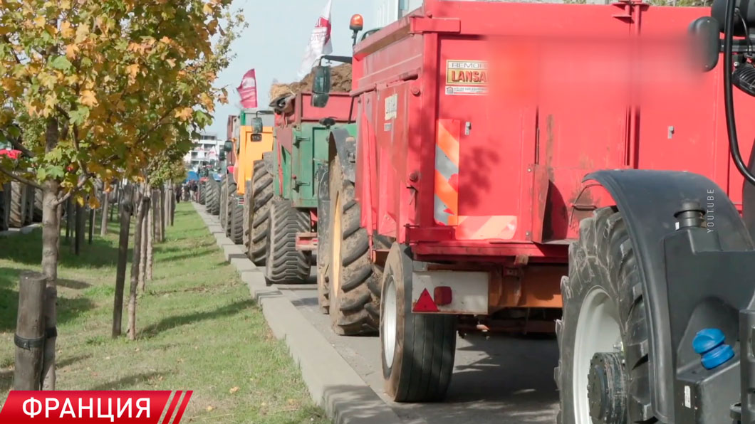 У стен парижской мэрии развернулся палаточный лагерь из двух сотен мигрантов-2 У стен парижской мэрии развернулся палаточный лагерь из двух сотен мигрантов-2