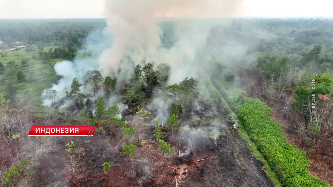 Индонезия готовится к сезону лесных пожаров и смога-2