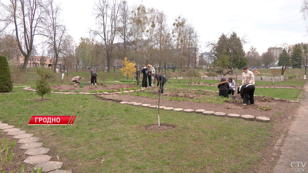 В Гродно учебные заведения готовятся к конкурсу на лучшее благоустройство «Это наша с тобой земля»-2