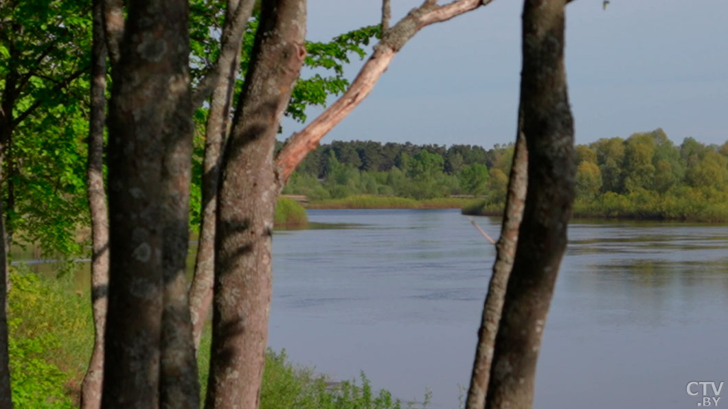 Генпрокуратура: за последние годы не возбуждено ни одного дела о продаже загрязненной радиацией продукции-2