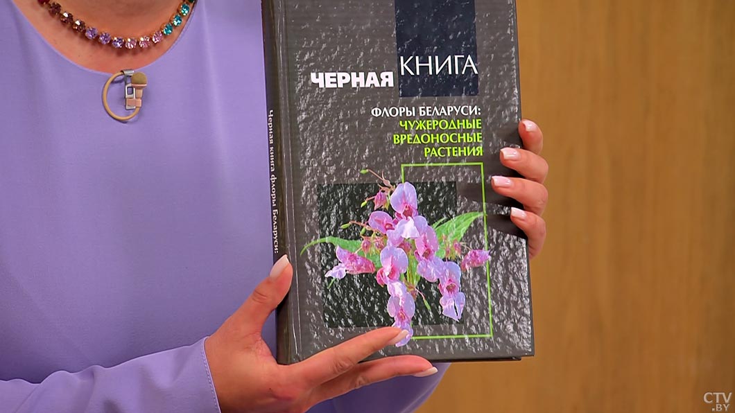 Что такое Чёрная книга флоры Беларуси? Рассказываем про опасные растения, кроме борщевика и золотарника-4