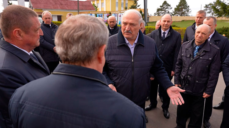 «О чем тогда можно говорить?!» Лукашенко поручил вернуть к жизни систему агросервисов