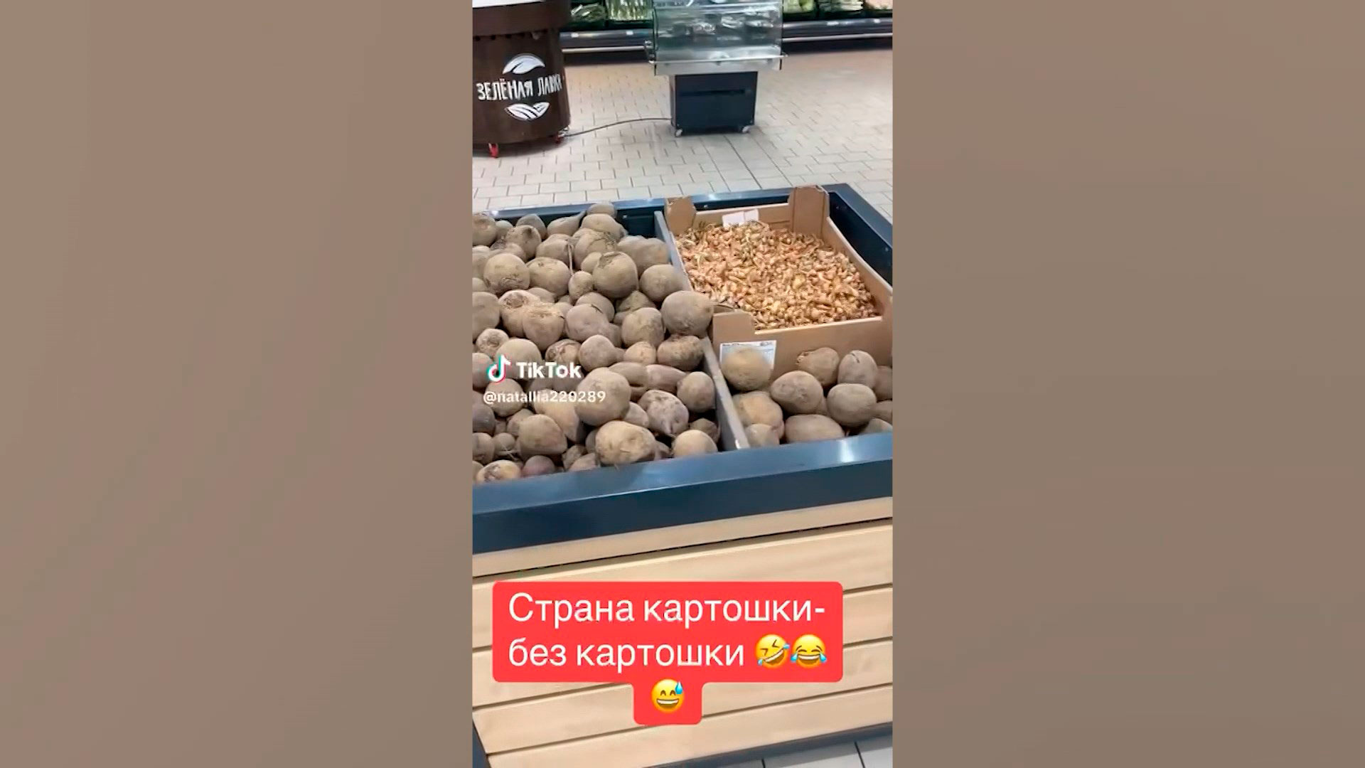 «Ну что, пойдём смотреть твою картошку». Президенту показали урожай белорусского продукта номер один-2