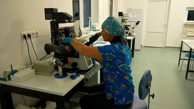 Ходжаев рассказал о нюансах проведения второй попытки ЭКО Ходжаев рассказал о нюансах проведения второй попытки ЭКО