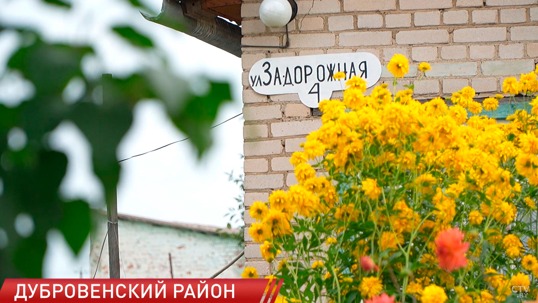 Персональную ответственность чиновников за плохую торговлю на селе ввели в Беларуси-2