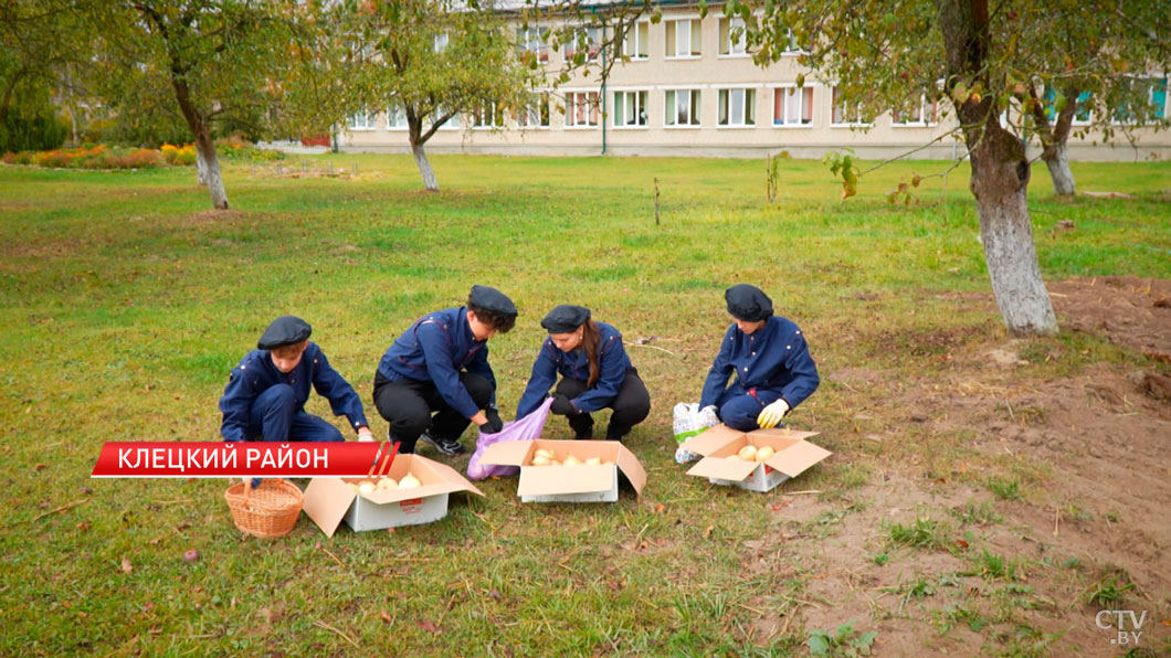 700 кг лука собрали на пришкольном участке в Клецком районе-2