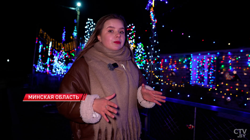 Вилейский Disneyland: белорус украсил свой дом к зимним праздникам и покорил соцсети-10