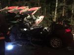 В Чериковском районе Renault въехал в трактор с плугами. Погибли четыре человека