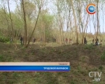Республиканский субботник: самые яркие моменты трудового марафона