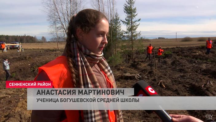 Любой человек должен помогать своей природе. Как проходит акция «Неделя леса» в Витебской области?-4