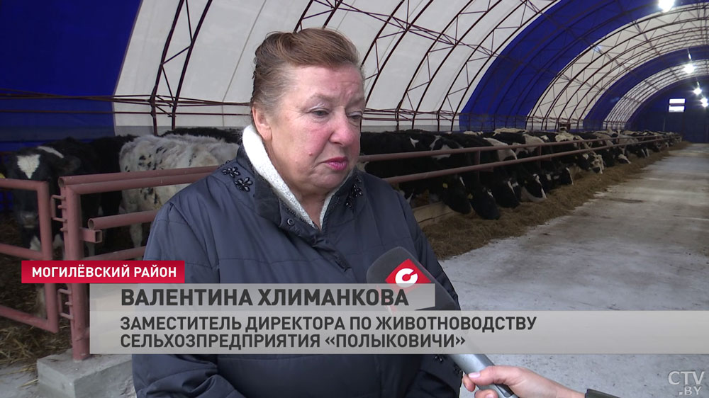 Недорогие и можно быстро построить. В Могилёвской области всё чаще возводят фермы с тентовым ангаром-4
