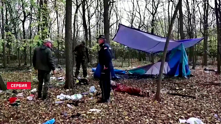 Сербская полиция задержала около 4,5 тысячи нелегалов в ходе рейдов на границе-1