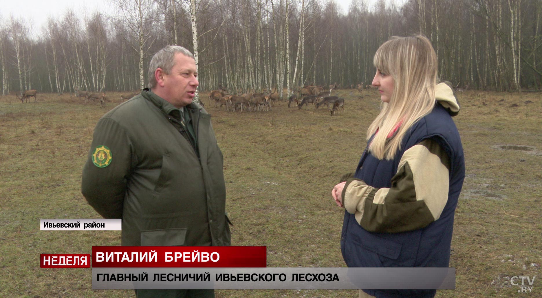 Вышли на след шакала, который не проживал в Беларуси. Какие ещё необычные звери живут в Налибокском заказнике?-23
