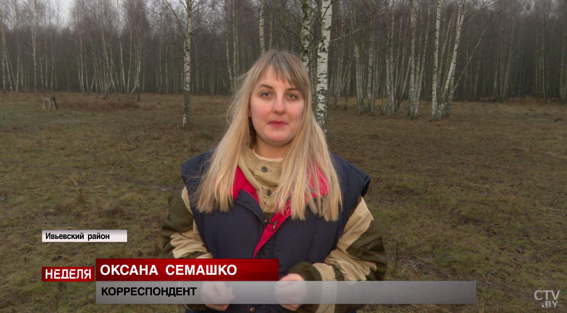 Вышли на след шакала, который не проживал в Беларуси. Какие ещё необычные звери живут в Налибокском заказнике?-19