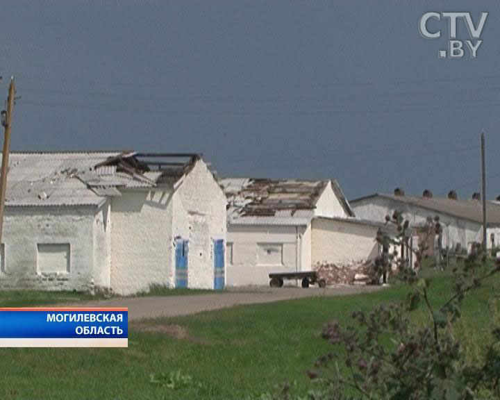 В Гродненской и Могилевской областях устраняют последствия ливня