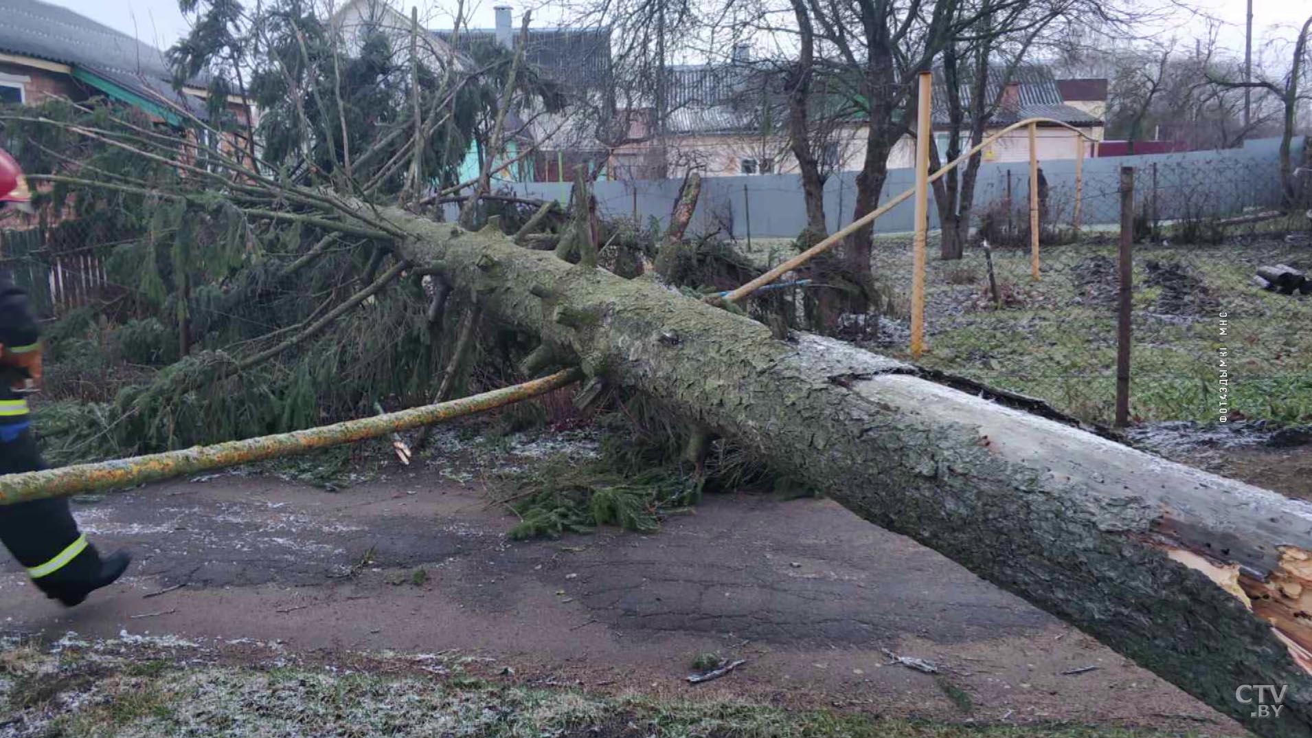 Из-за сильного ветра в Минской области падали деревья и в некоторых местах было нарушено электроснабжение-7