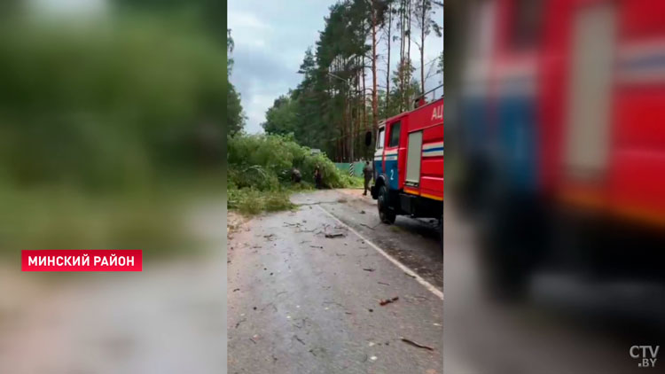 На Минском море погибла девушка из-за упавшего дерева. По пляжу прошёл смерч-1