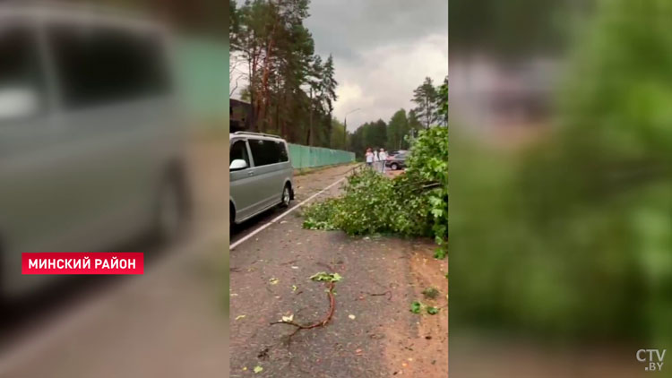 На Минском море погибла девушка из-за упавшего дерева. По пляжу прошёл смерч-4