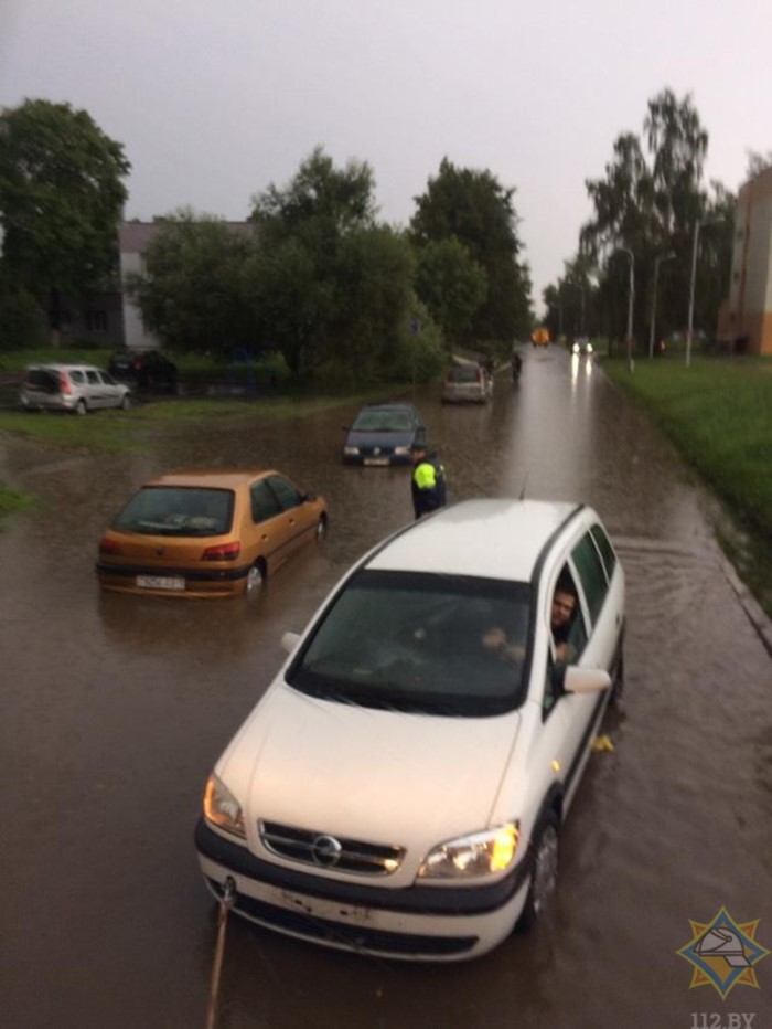 Из-за непогоды в Минске на четыре автомобиля упали деревья-1