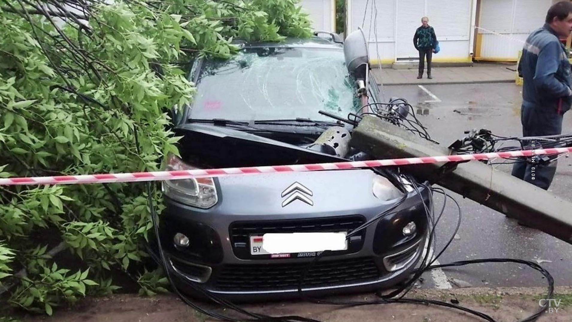 Последствия непогоды в Минской области: разбитый капот Citroen, множество упавших деревьев-7