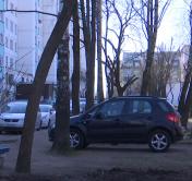 Водителей за неправильную парковку могут привлечь к восстановлению газонов и бордюров