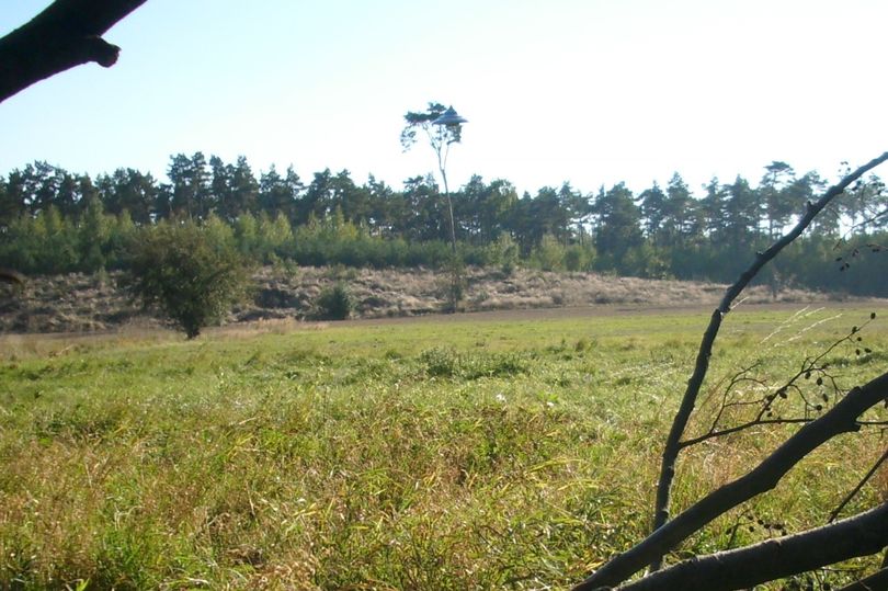 Самое чёткое фото НЛО за последние 40 лет сделали в Польше. Подлинность устанавливают эксперты-4