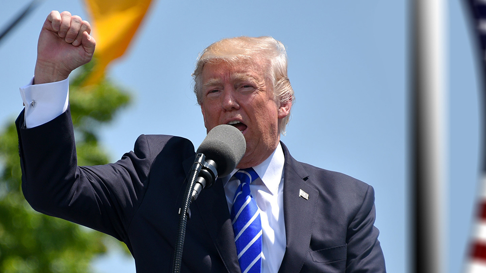 Дональд Трамп решил перепрофилировать Триумфальную арку под нужды обороны Дональд Трамп решил перепрофилировать Триумфальную арку под нужды обороны