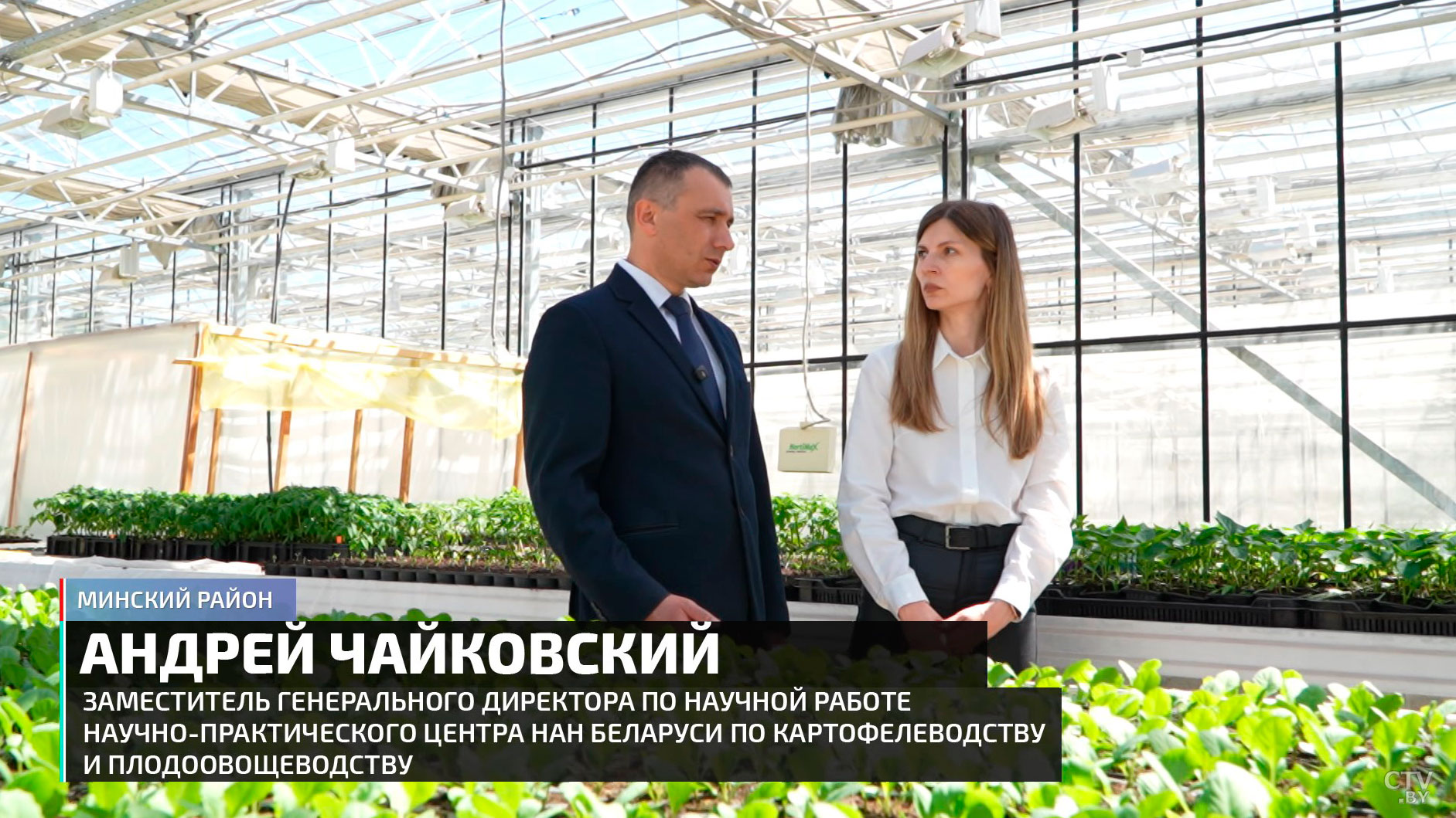Огурцы, томаты, перец. В Беларуси планируют нарастить площади под самые популярные культуры-16