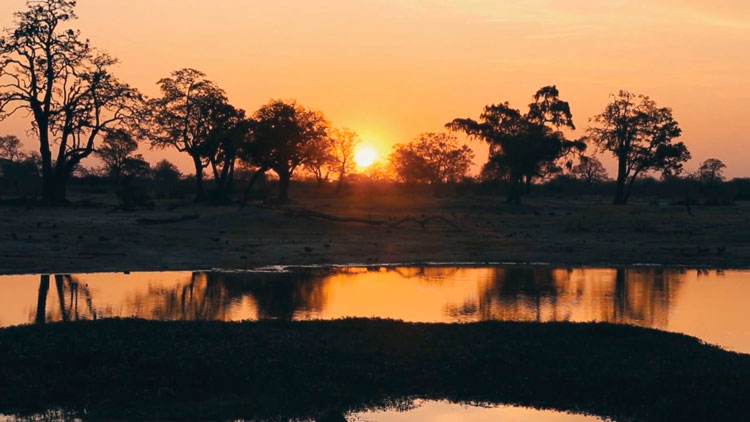 Министр обороны Беларуси прибыл с официальным визитом в Зимбабве