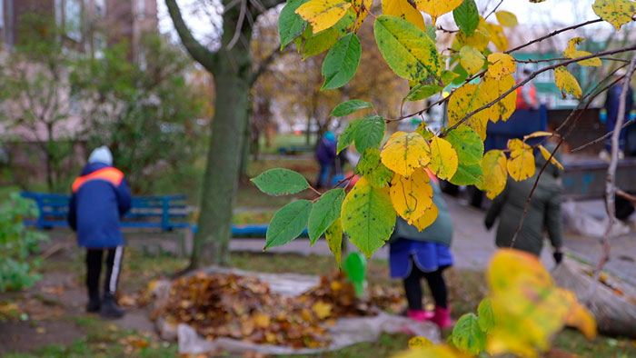 В Год благоустройства в Минске высажено более 4 тыс. деревьев и 19 тыс. кустарников