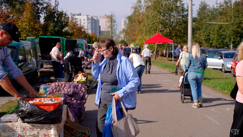 Время сезонной торговли. Где в Минске запастись витаминами на зиму?-2