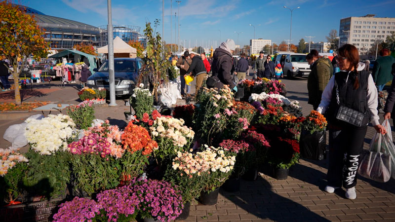 Сезон сельскохозяйственных ярмарок продолжается в Минске