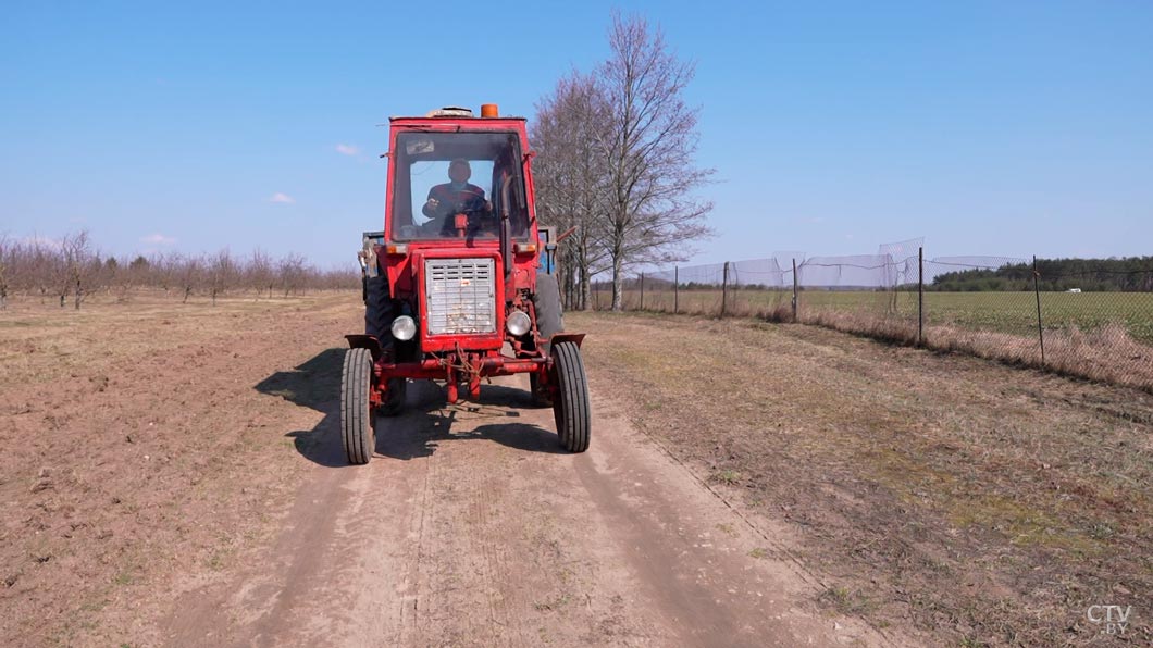 Эта женщина почти полвека трудится трактористкой – история белоруски-4