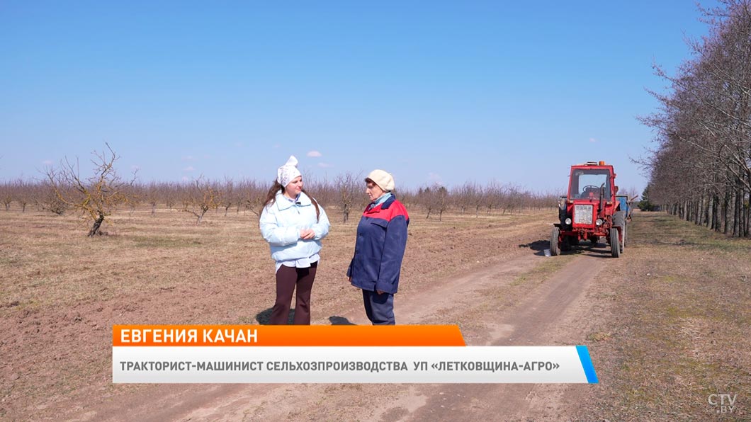 Эта женщина почти полвека трудится трактористкой – история белоруски-2