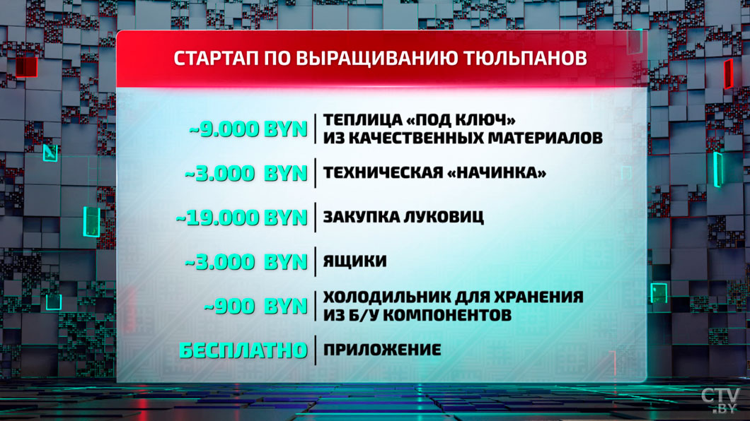 Сколько стоит запустить бизнес? Гайд по выращиванию тюльпанов-10