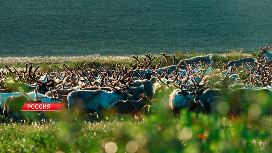 «Так быть не должно». Лукашенко поручил увеличить товарооборот с Чукоткой. Подробности встречи-12