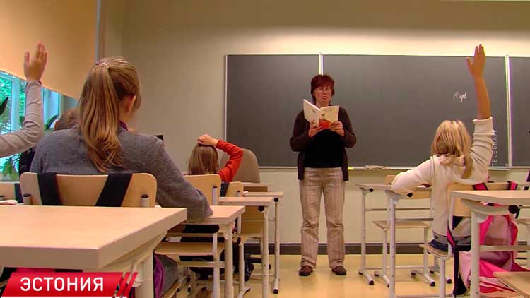 Эстония столкнулась с острым дефицитом преподавателей в школах