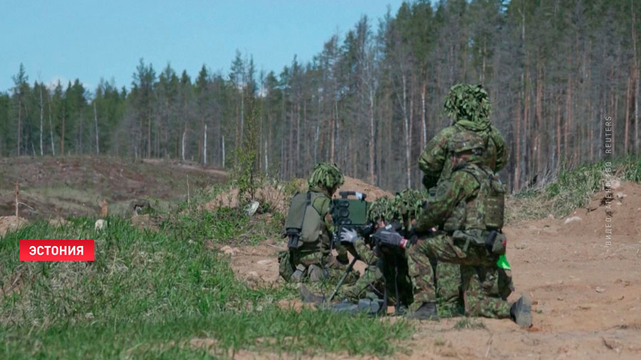 Эстония планирует увеличить военные расходы до 5% ВВП