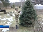 Чем привлекает людей жизнь на природе, и как планируют отмечать Новый год жители хуторов?