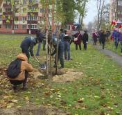 В одном из парков Гомеля  по случаю 100-летия комсомола появилась новая аллея 