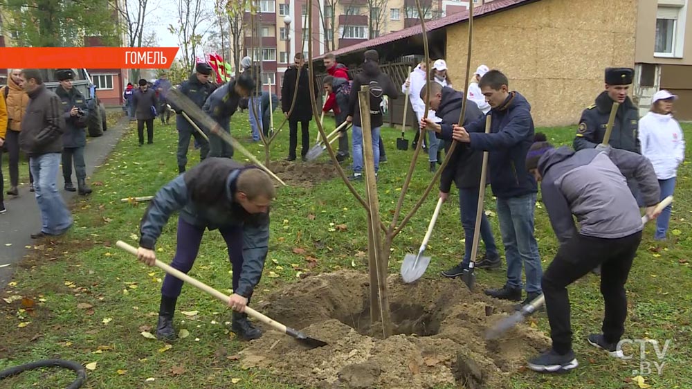 В одном из парков Гомеля  по случаю 100-летия комсомола появилась новая аллея -10