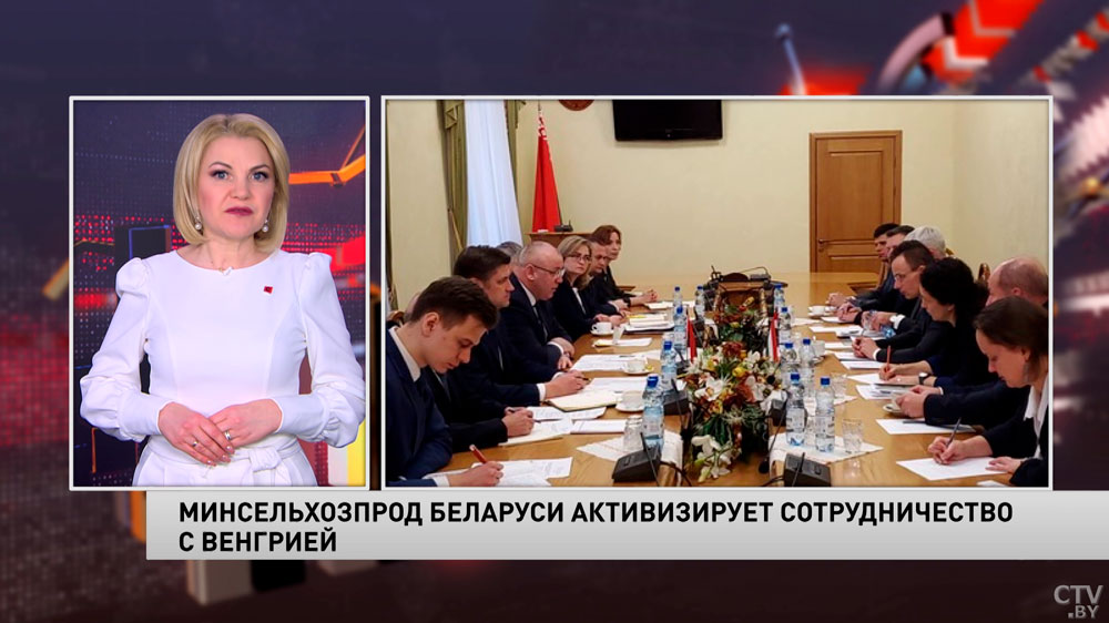 Минсельхозпрод Беларуси активизирует сотрудничество с Венгрией. Какая продукция интересна странам?-1