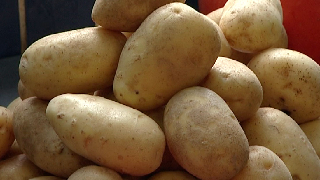 Кладовка республиканского масштаба. Объём продукции в стабфондах Беларуси увеличится на треть