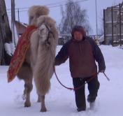 Несмотря на пандемию. Сколько человек отдохнули в белорусских агроусадьбах в 2020 году?