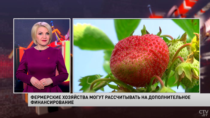 Белорусские фермерские хозяйства могут рассчитывать на дополнительное финансирование-1