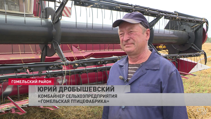 Уходят в поле прямо с конвейера. В Гомельской области на уборочную вышли новые газомоторные комбайны -10