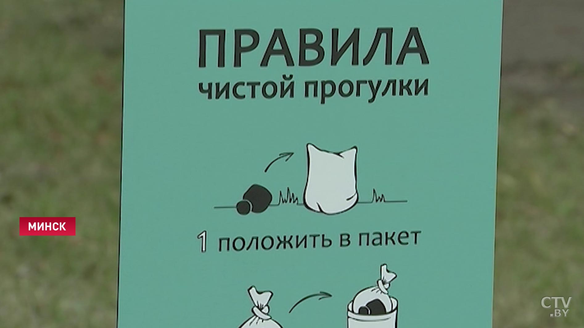 Административная ответственность и штрафы: собачников законодательно обяжут убирать за питомцами-45