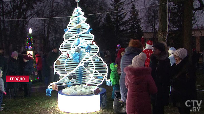 На новогодних ёлках в Гродно зажгли иллюминацию, а на креативной аллее деревья украшают колбасой, сыром и бутылками-16