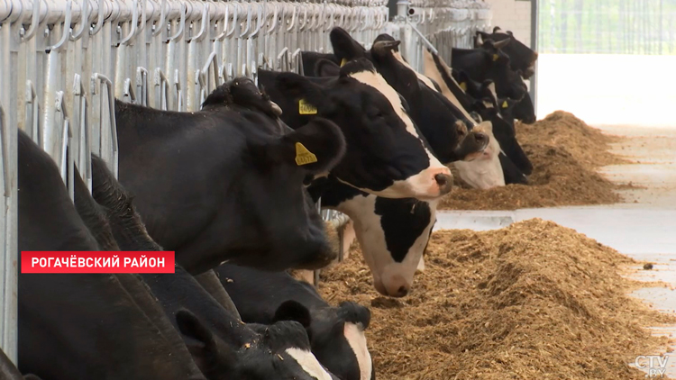 Подобным надоем похвастаться могут только здесь! В хозяйстве «Тихиничи» построили новый МТК-1