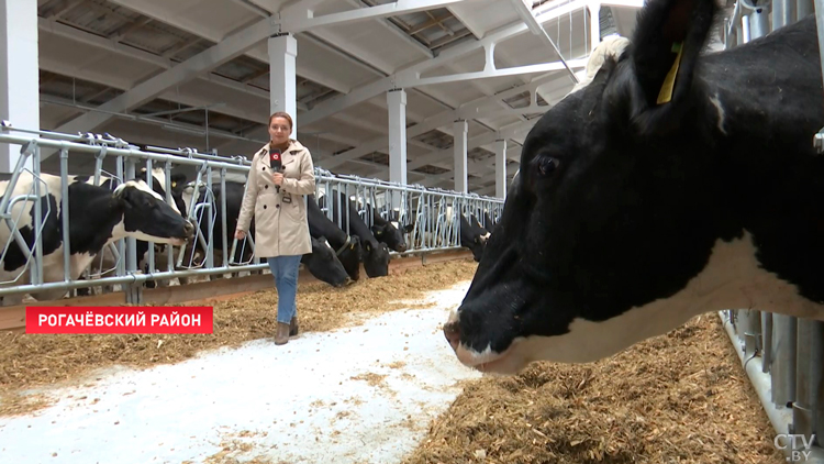 Подобным надоем похвастаться могут только здесь! В хозяйстве «Тихиничи» построили новый МТК-4